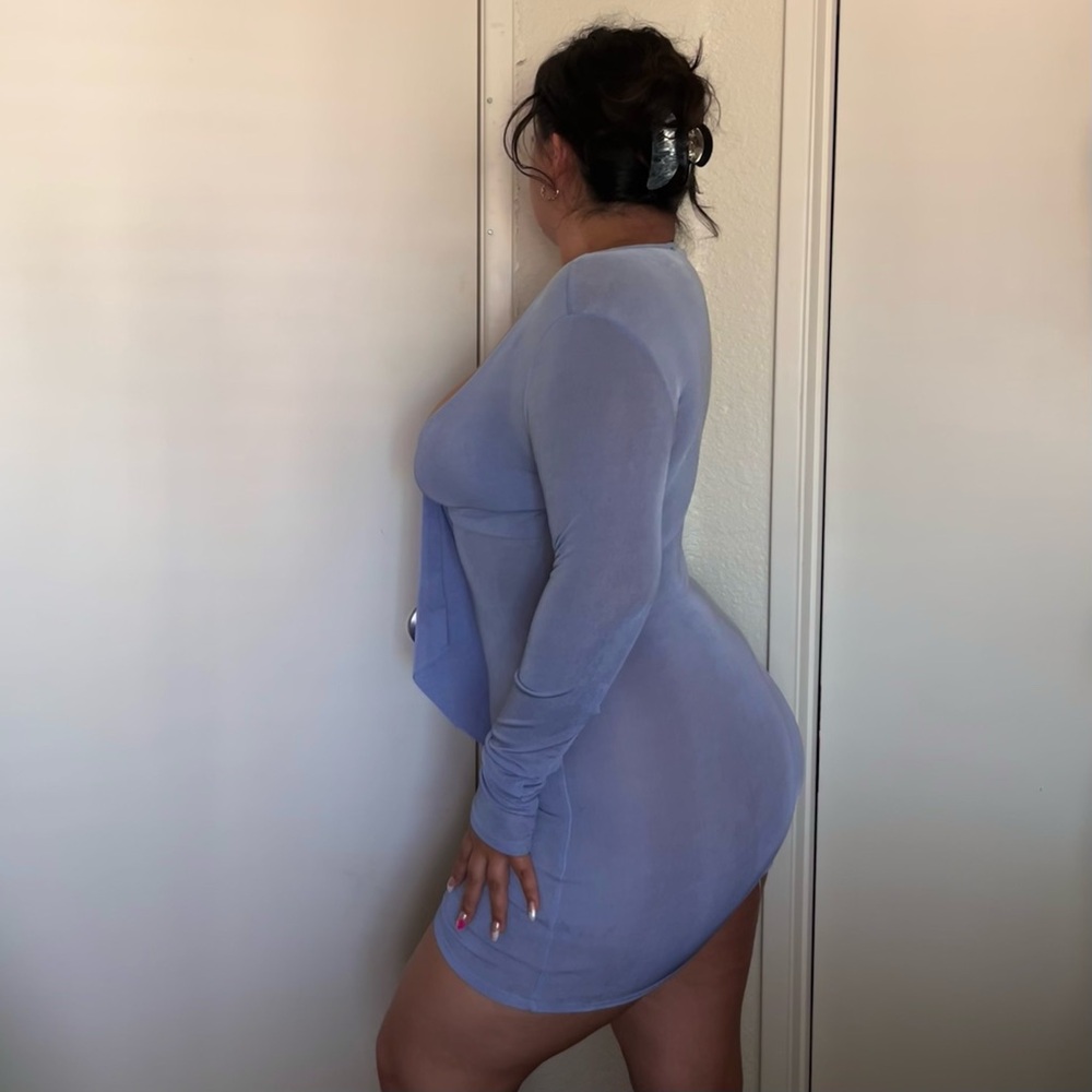 Mesh Long Sleeve Dress - Picture 3 of 5